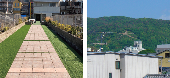 施設の庭園と外構。整備された芝生と舗装歩道が見られます。